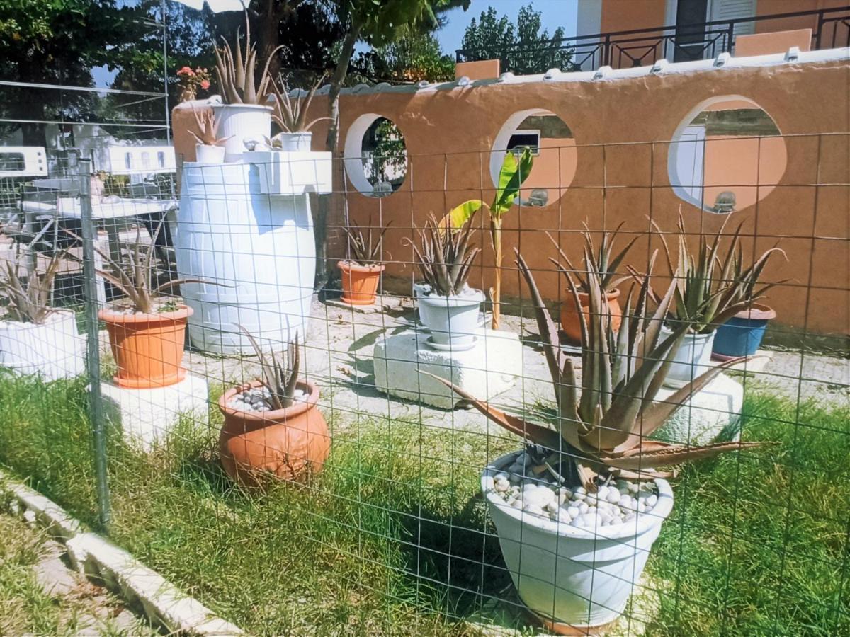 Villa Dina La Canea Exterior foto